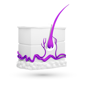 Meer te weten komen over dermatologie? Meer over dermatologie leest u op Viatris Connect.